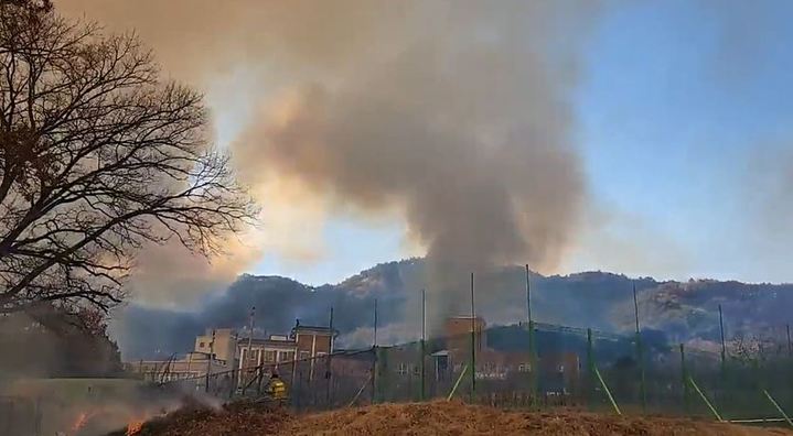 [서울=뉴시스] 예천 산불. 2023.02.28 photo@newsis.com *재판매 및 DB 금지 *재판매 및 DB 금지