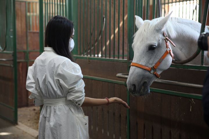 렛츠런파크 부산경남 렛츠런투어 *재판매 및 DB 금지