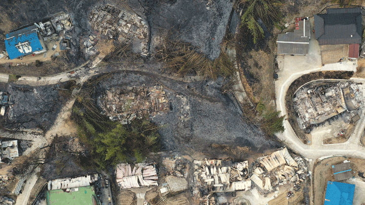 [울진=뉴시스] 백동현 기자 = 지난해 3월 7일과 1년 후인 지난 2일 경북 울진군 신화2리 모습. 2023.03.04. livertrent@newsis.com *재판매 및 DB 금지