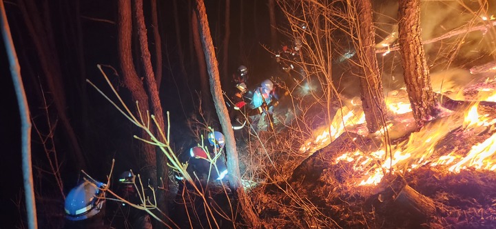 충북 산불 2~5월 집중…원인 절반은 입산자 실화