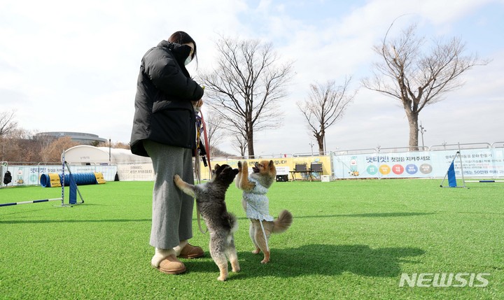 [서울=뉴시스] 김선웅 기자 = 3일 서울 여의도 한강공원에 설치된 반려인·반려견 임시쉼터에서 반려인과 반려견이 즐거운 시간을 보내고 있다. 서울시는 3~4월 여의도 한강공원 수영장 내 휴게공간에서 반려인·반려견 임시쉼터를 시범운영한다고 밝혔다. 2023.03.03. mangusta@newsis.com