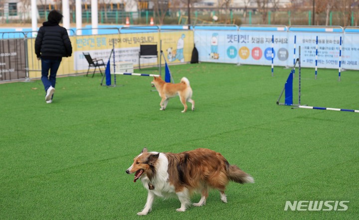 [서울=뉴시스] 김선웅 기자 = 3일 서울 여의도 한강공원에 설치된 반려인·반려견 임시쉼터에서 반려인과 반려견이 즐거운 시간을 보내고 있다. 서울시는 3~4월 여의도 한강공원 수영장 내 휴게공간에서 반려인·반려견 임시쉼터를 시범운영한다고 밝혔다. 2023.03.03. mangusta@newsis.com