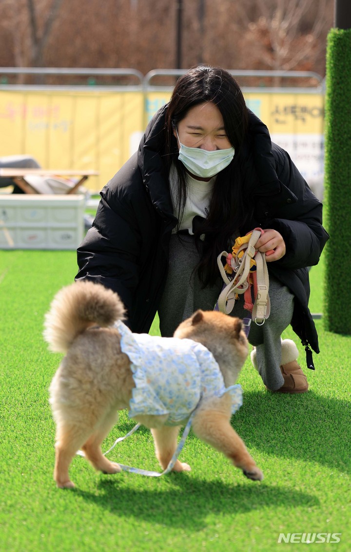 [서울=뉴시스] 김선웅 기자 = 3일 서울 여의도 한강공원에 설치된 반려인·반려견 임시쉼터에서 반려인과 반려견이 즐거운 시간을 보내고 있다. 서울시는 3~4월 여의도 한강공원 수영장 내 휴게공간에서 반려인·반려견 임시쉼터를 시범운영한다고 밝혔다. 2023.03.03. mangusta@newsis.com