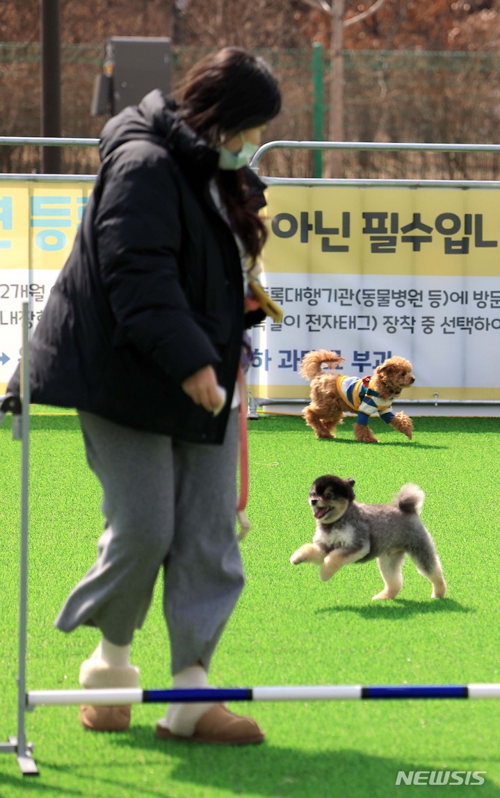 [서울=뉴시스] 김선웅 기자 = 3일 서울 여의도 한강공원에 설치된 반려인·반려견 임시쉼터에서 반려인과 반려견이 즐거운 시간을 보내고 있다. 서울시는 3~4월 여의도 한강공원 수영장 내 휴게공간에서 반려인·반려견 임시쉼터를 시범운영한다고 밝혔다. 2023.03.03. mangusta@newsis.com