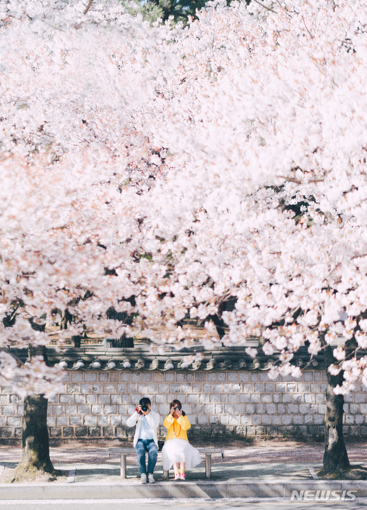 경주 대릉원 돌담길
