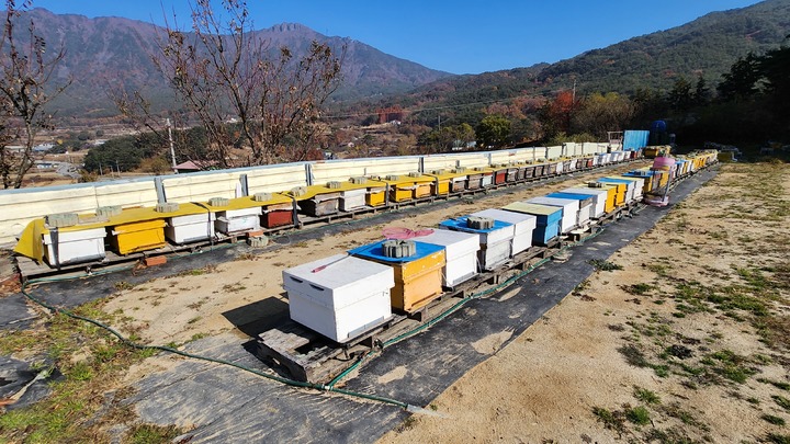 뉴시스 DB. *재판매 및 DB 금지