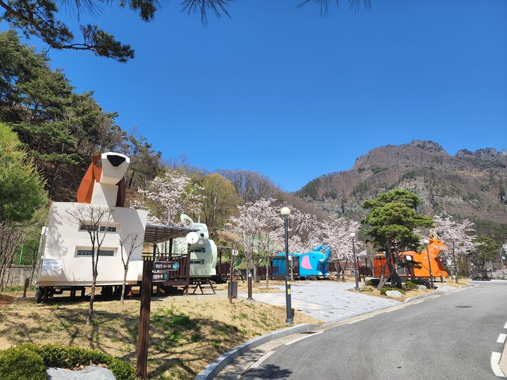 봉화 청량산캠핑장 (사진=봉화군 제공) *재판매 및 DB 금지