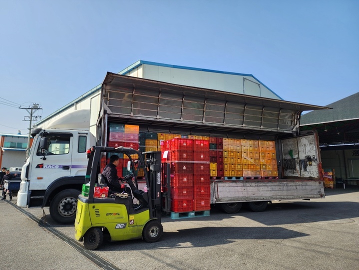 '못난이 밀양 얼음골사과'…밀양시, 판로개척 지원