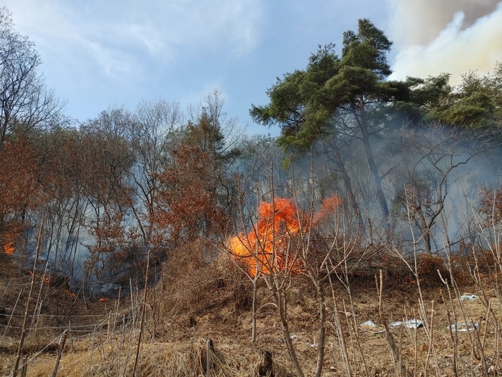 [합천=뉴시스]김기진=8일 오후 1시 59분께 경남 합천군 용주면 월평리 야산에서 산불이 발생했다. 2022.03.08.(사진=합천군 제공)  photo@newsis.com *재판매 및 DB 금지