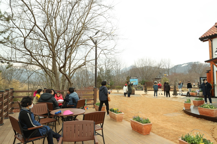 임실 옥정호 붕어섬생태공원 *재판매 및 DB 금지