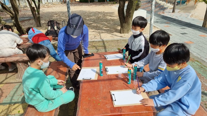 [안동=뉴시스] 지난해 작은학교 가꾸기 사업이 진행되고 있는 경주 천포초등학교의 자연 생태교육 광경. (사진=경북교육청 제공) 2023.03.10 *재판매 및 DB 금지