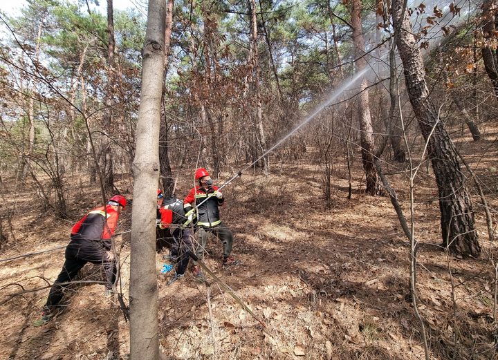 창녕군, 산불재난 국가위기경보 '경계'…비상근무 실시