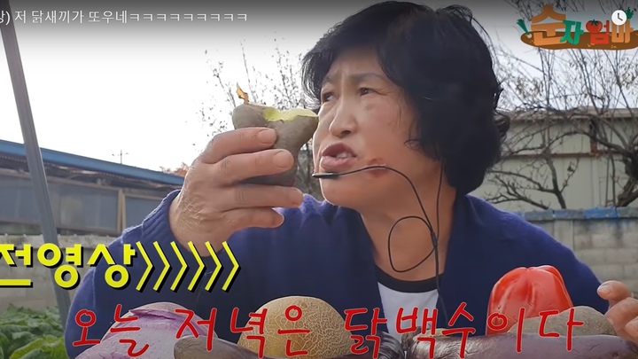 [서울=뉴시스] 키우는 닭이 유튜버 '순자엄마'의 신경을 거슬리게 하고 있다 . (사진='순자엄마'영상 캡처)2023.03.10.photo@newsis.com *재판매 및 DB 금지