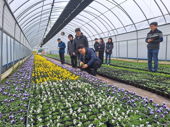 [광주=뉴시스] 구길용 기자 = 화순군(군수 구복규)은 오는 4월21일 개막하는 '2023 화순 고인돌축제' 준비를 위해 만전을 기하고 있다고 10일 밝혔다. (사진=화순군 제공). 2023.03.10. kykoo1@newsis.com *재판매 및 DB 금지