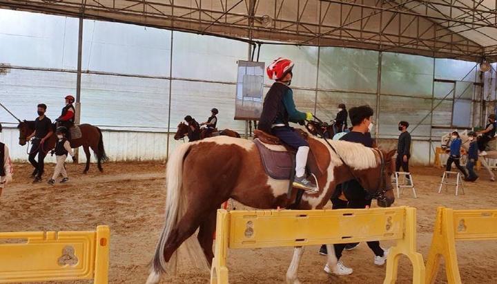 [김해=뉴시스]승마 체험. (사진 뉴시스DB). photo@newsis.com *재판매 및 DB 금지