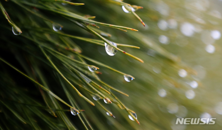 '우산 챙기세요' 충북 강수량 10~40㎜…한낮 21~24도
