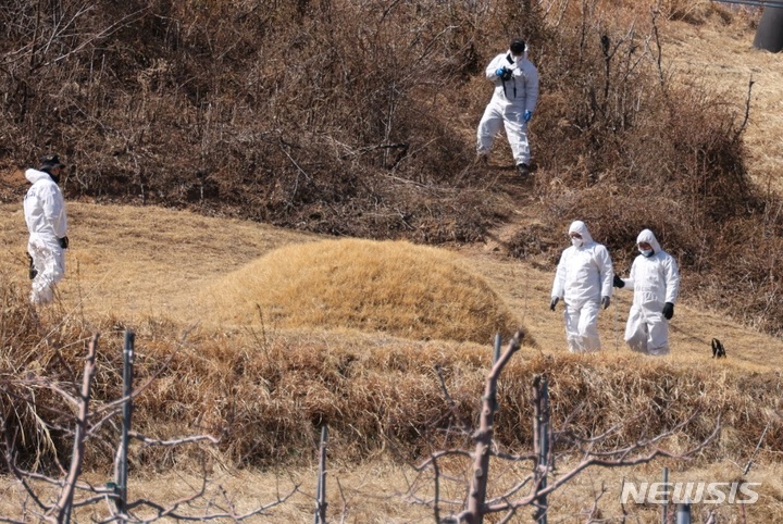 [안동=뉴시스] 김진호 기자 = 경북경찰청 전담수사팀이 13일 경북 봉화군 명호면에 소재한 이재명 민주당 대표의 양친 묘소에서 현장 검증을 하고 있다. 이 대표의 양친묘소는 최근 봉분 아래쪽 사방에 구멍 4개가 뚫려 있고, 구멍 2개에는 한자(生, 明, 氣 등)가 적힌 돌이 올려져 있는 등 훼손돼 경찰이 수사에 나섰다. 2023.03.13  kjh9326@newsis.com