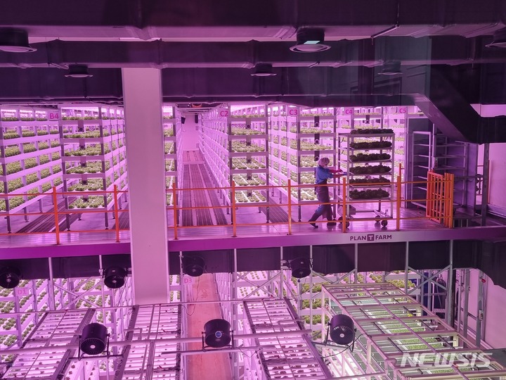 [평택=뉴시스] 임하은 기자 = 스마트팜 기업인 플랜티팜의 평택 식물공장 내부 모습. 2023.03.14. rainy71@newsis.com