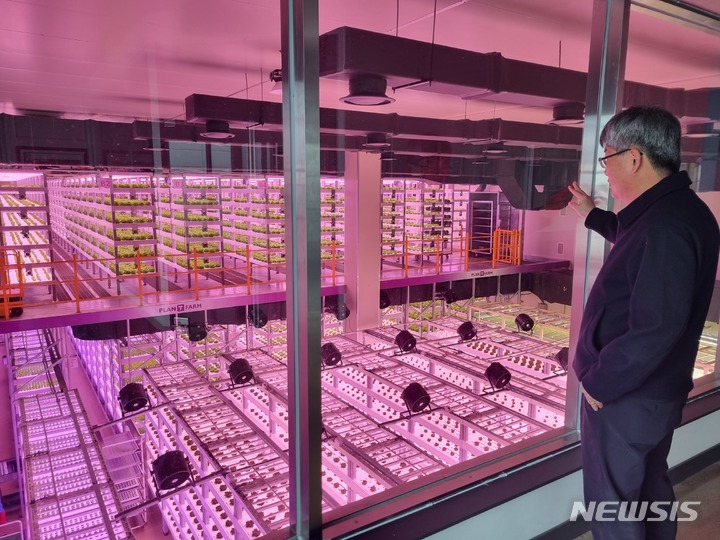[평택=뉴시스] 임하은 기자 = 스마트팜 기업인 플랜티팜의 평택 식물공장 내부 모습. 2023.03.14. rainy71@newsis.com