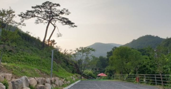 도화지 오토캠핑장 *재판매 및 DB 금지