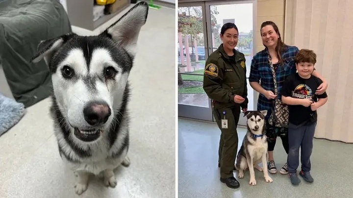 [서울=뉴시스]10일(현지시간) 미국 폭스뉴스는 '못생긴 강아지'로 입양이 안돼 안락사 위기에 처한 강아지 '하비'의 새로운 입양 소식을 전했다. 하비의 새로운 가족은 미국을 횡단해 6일간 왕복 4200㎞를 달려 강아지를 입양했다.(사진출처 : 미국 폭스뉴스 갈무리)2023.03.15 *재판매 및 DB 금지