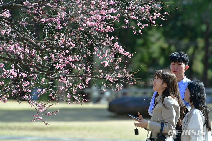 [광주=뉴시스] 이영주 기자 = 15일 오후 광주 북구 전남대학교 교정에 심어진 홍매화 주변에서 학생들이 꽃을 바라보고 있다. 2023.03.15. leeyj2578@newsis.com