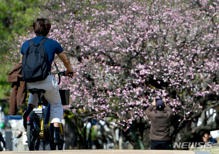 주말 광주·전남, 온화한 봄 날씨…낮 최고 18도