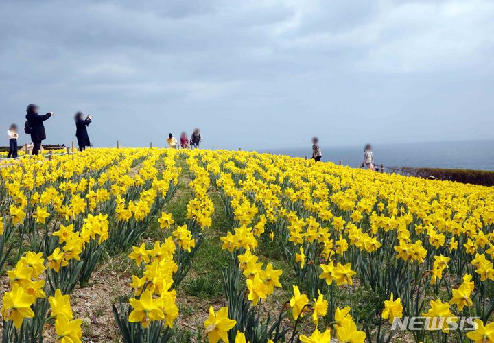 부산, 오후부터 구름 많은 날씨…낮 최고 20도