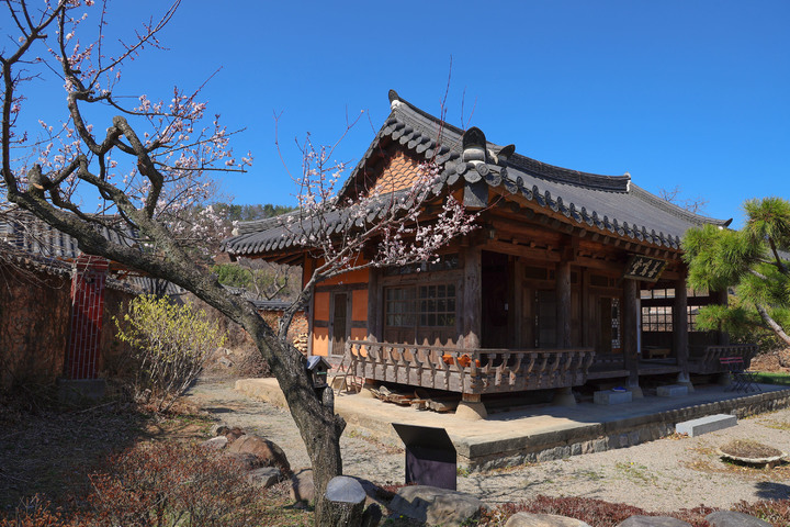 [산청=뉴시스]산청 남사예담촌 정씨매. *재판매 및 DB 금지