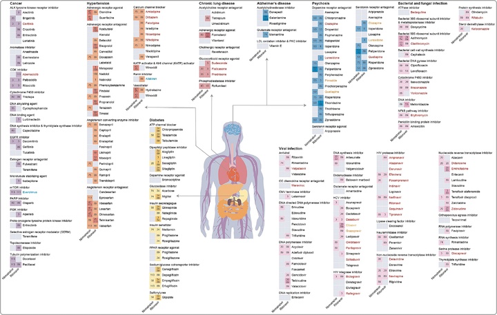 [대전=뉴시스] 딥디디아이2(DeepDDI2)를 이용한 팍스로비드 성분과 대표 승인약물 간의 약물 상호작용 예측 결과.(사진=KAIST 제공) *재판매 및 DB 금지