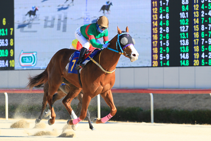 '맨오브더이어' 2022 경남신문배 우승 *재판매 및 DB 금지