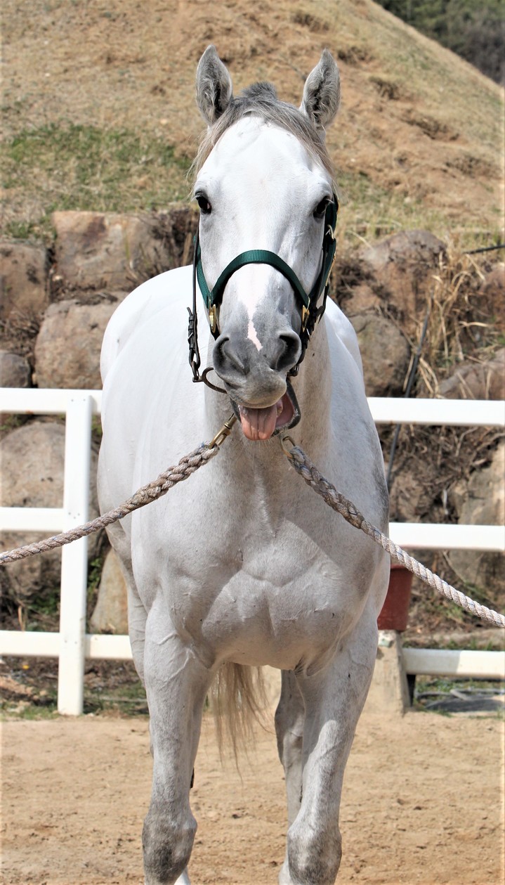 베텔게우스 *재판매 및 DB 금지
