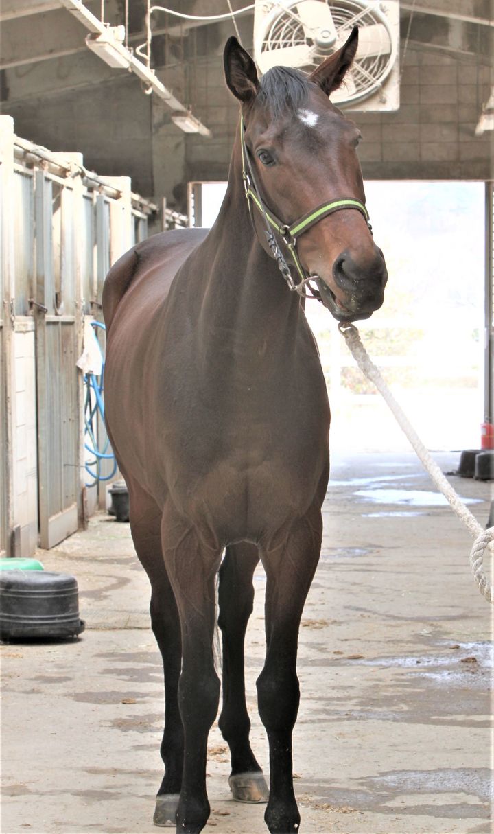 글로벌 히트 *재판매 및 DB 금지