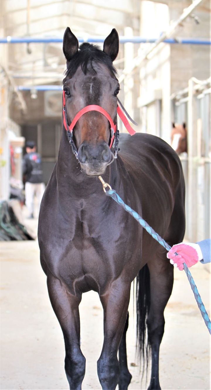 백투더레전드 *재판매 및 DB 금지