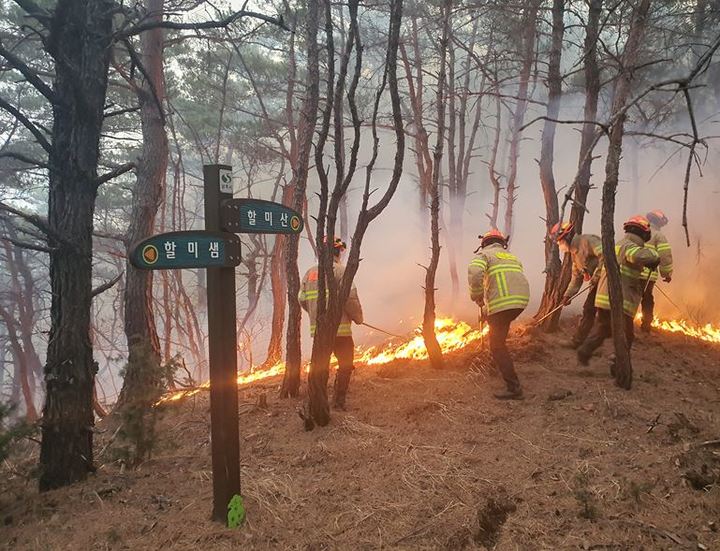 상주 산불 *재판매 및 DB 금지