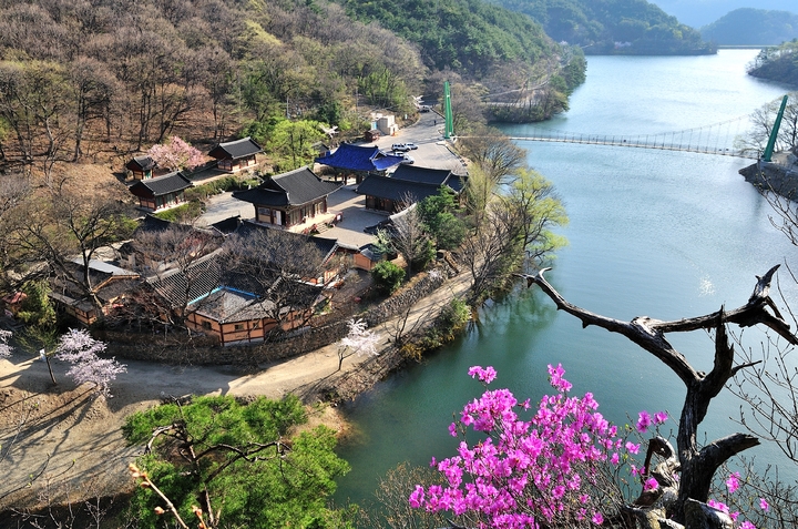 [포항=뉴시스] 강진구 기자 = 경북 포항시는 본격적인 행락철을 맞아 지역 내 봄꽃 명소가 관심을 끌고 있다고 17일 밝혔다.사진은 오어사 봄꽃.(사진=포항시 제공) 2023.03.17.photo@newsis.com&nbsp;&nbsp; *재판매 및 DB 금지