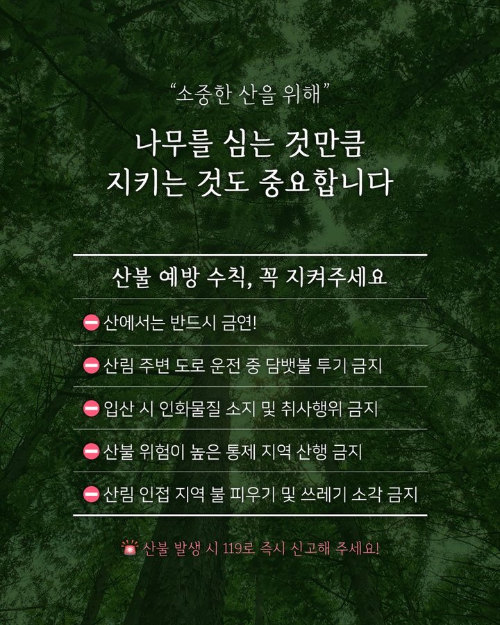 [서울=뉴시스]산불예방수칙.(사진=서울시 제공)