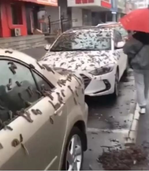 (캡처=트위터) *재판매 및 DB 금지