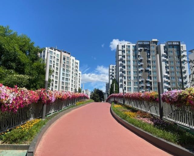 [서울=뉴시스]강동구 보행육교 걸이화분.(사진=서울시 제공) *재판매 및 DB 금지