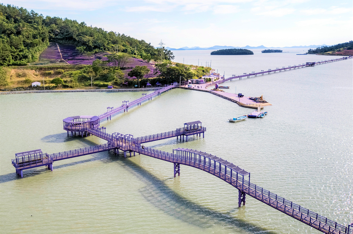 [신안=뉴시스] 안좌도 퍼플교. *재판매 및 DB 금지