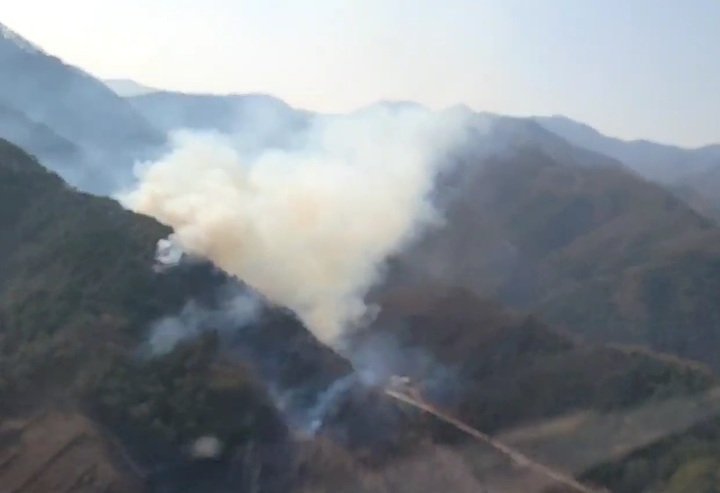 산림청 제공 *재판매 및 DB 금지