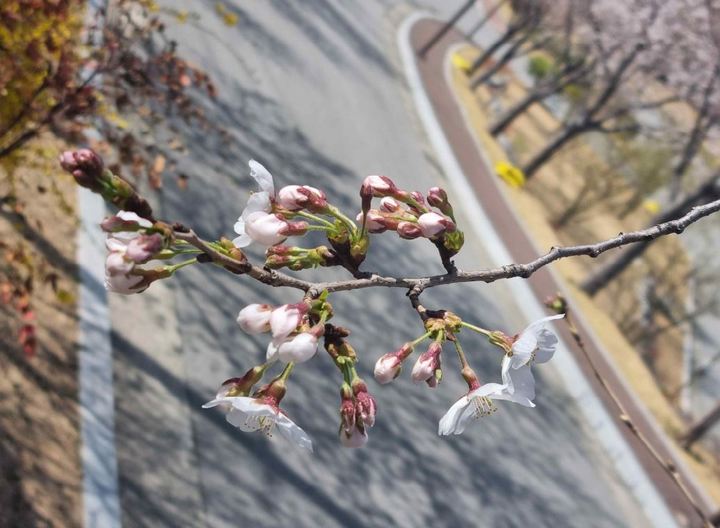 대구지방기상청 제공 *재판매 및 DB 금지