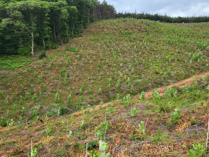 합천군 임야 *재판매 및 DB 금지