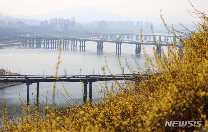 [서울=뉴시스] 김선웅 기자 = 춘분인 21일 초미세먼지 농도가 '나쁨' 수준을 보이고 있다. 서울 성동구 응봉산에 핀 개나리 너머로 도시가 뿌옇게 보인다. 2023.03.21. mangusta@newsis.com