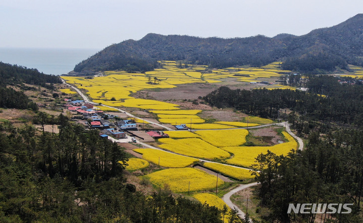 [진도=뉴시스] 행정안전부와 한국섬진흥원이 공동으로 선정한 '찾아가고 싶은 봄섬' 진도 관매도. (사진=전남도 제공) 2023.03.21. photo@newsis.com
