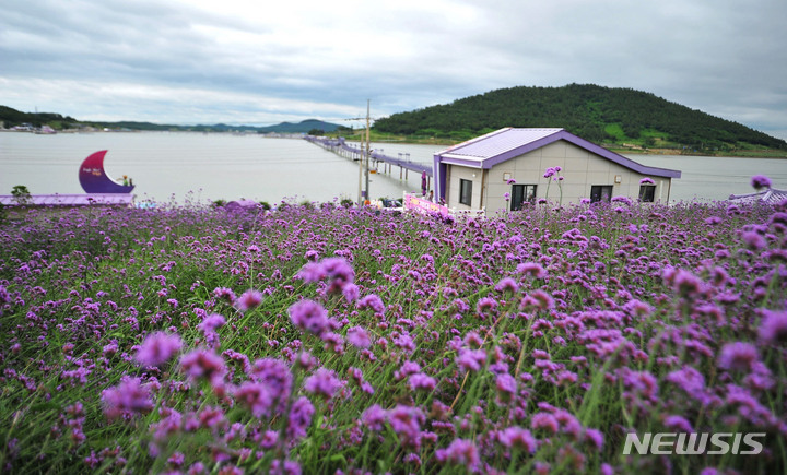 [신안=뉴시스] 행정안전부와 한국섬진흥원이 공동으로 선정한 '찾아가고 싶은 봄섬' 신안 반월박지도. (사진=전남도 제공) 2023.03.21. photo@newsis.com