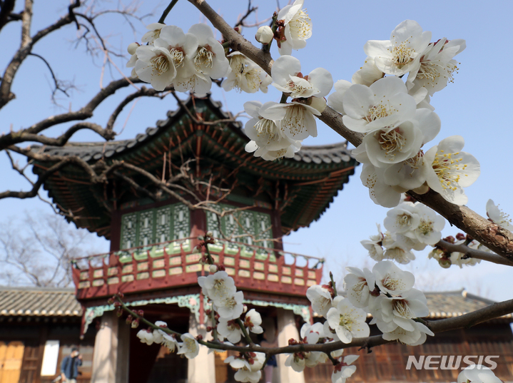 [서울=뉴시스] 김금보 기자 = 절기상 춘분인 21일 오후 서울 종로구 창덕궁 낙선재를 찾은 관람객들이 봄나들이하고 있다. 창덕궁은 4월6일까지 매주 화·수·목요일마다 평소 입장이 제한되던 낙선재 뒤뜰 후원 일대를 둘러보는 '봄을 품은 낙선재' 프로그램을 운영한다. 2023.03.21. kgb@newsis.com