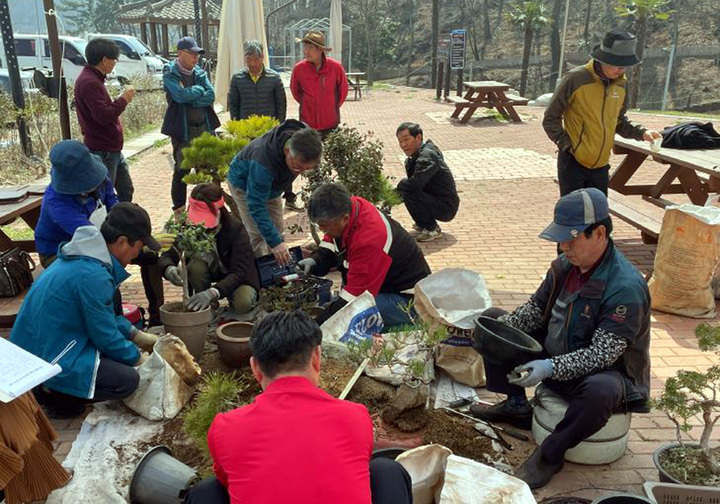 [진도=뉴시스] 화분 분갈이. *재판매 및 DB 금지