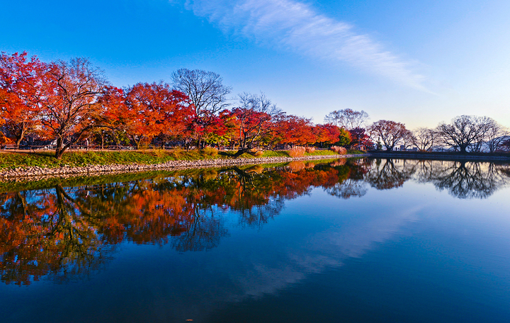 [창원=뉴시스] 강경국 기자 = 경남 창원시 진해구 진해내수면 환경생태공원. (사진=창원시청 제공). 2023.03.22. photo@newsis.com *재판매 및 DB 금지