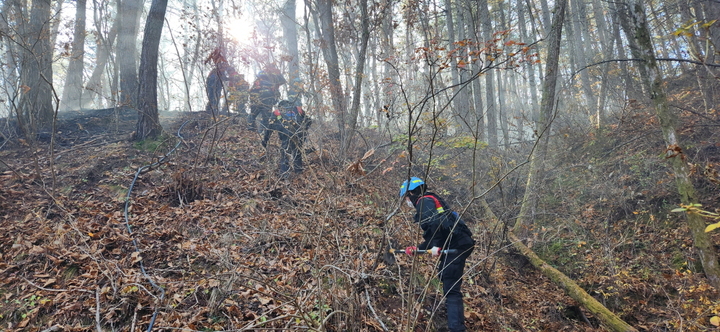 [완주=뉴시스]산림청 제공. *재판매 및 DB 금지